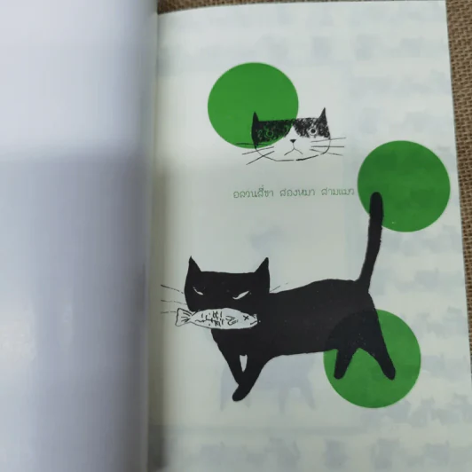อลวน 4 ขา 2 หมา 3 แมว - รัศมี เบื่อขุนทด รูปที่ 6
