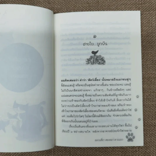 อลวน 4 ขา 2 หมา 3 แมว - รัศมี เบื่อขุนทด รูปที่ 12
