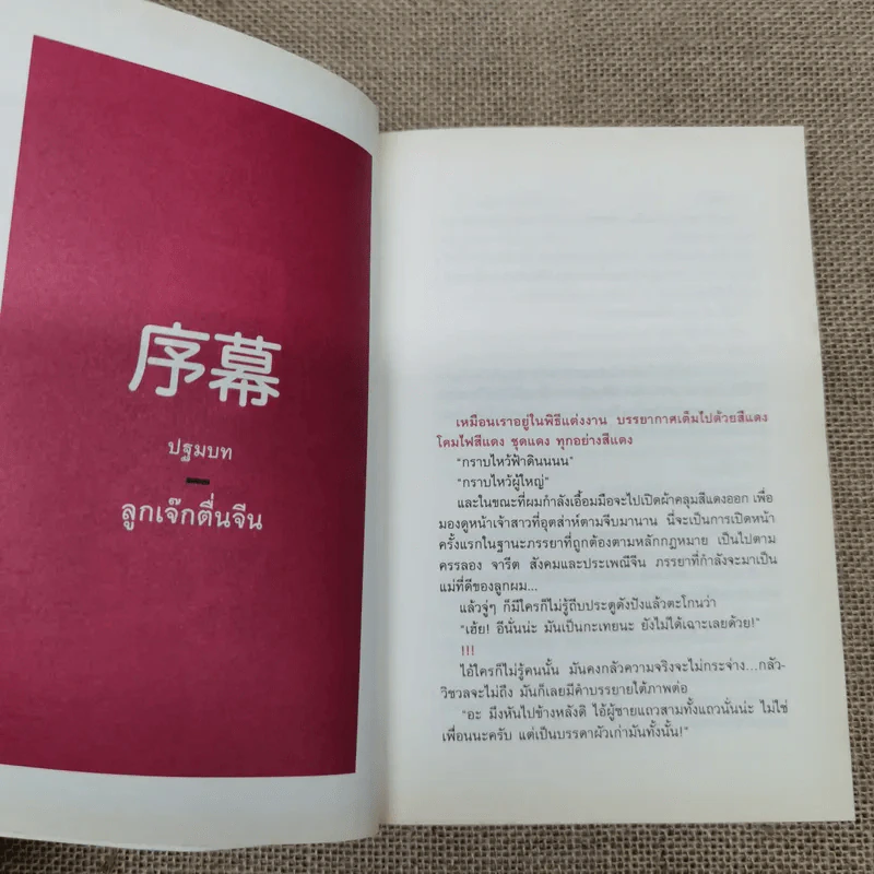 บันทึกการเดินทางของนายวิชัย มาตกุล คนไทยเชื้อสายจีนที่ไม่เคยไปประเทศจีน รูปที่ 9
