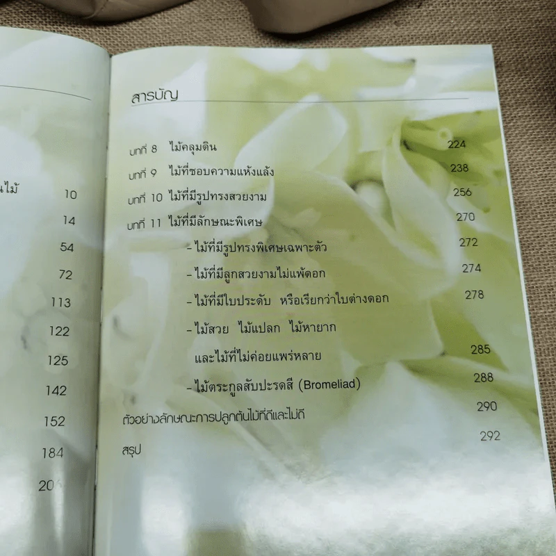 พรรณไม้เพื่อการตกแต่ง Plants For Decoration - รองศาสตราจารย์พรรณเพ็ญ ฉายปรีชา รูปที่ 11