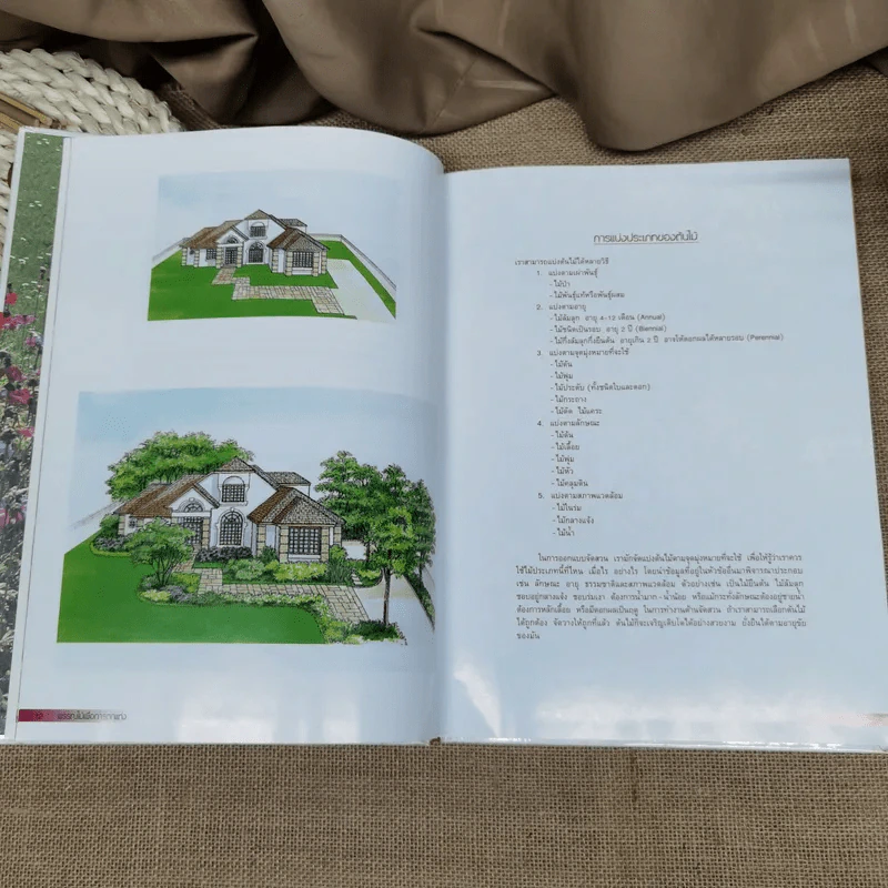 พรรณไม้เพื่อการตกแต่ง Plants For Decoration - รองศาสตราจารย์พรรณเพ็ญ ฉายปรีชา รูปที่ 13