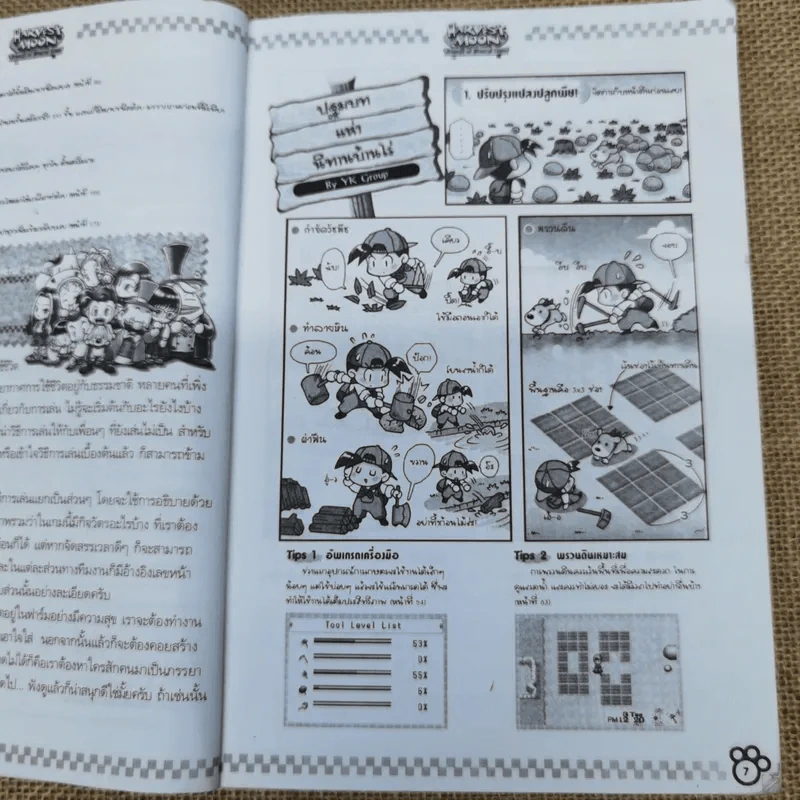 Harvest Moon Friends of Mineral Town คู่มือการดำเนินชีวิตในบ้านไร่ที่สมบูรณ์ รูปที่ 12
