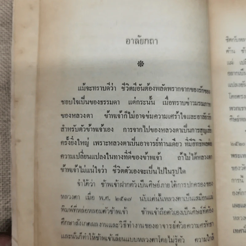 มนต์เสียงพิณ - แพรเยื่อไม้ รูปที่ 8