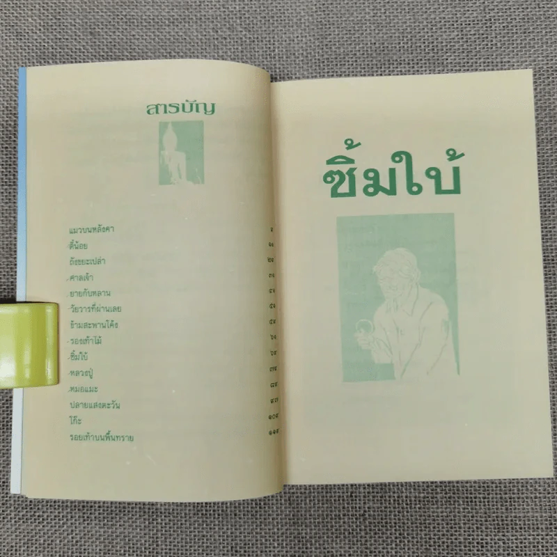 ซิ้มใบ้ - ประภัสสร เสวิกุล รูปที่ 9