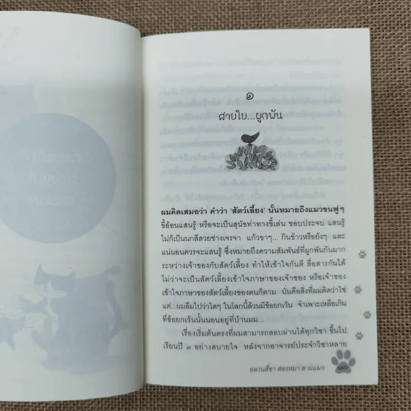 อลวน 4 ขา 2 หมา 3 แมว - รัศมี เบื่อขุนทด รูปที่ 12
