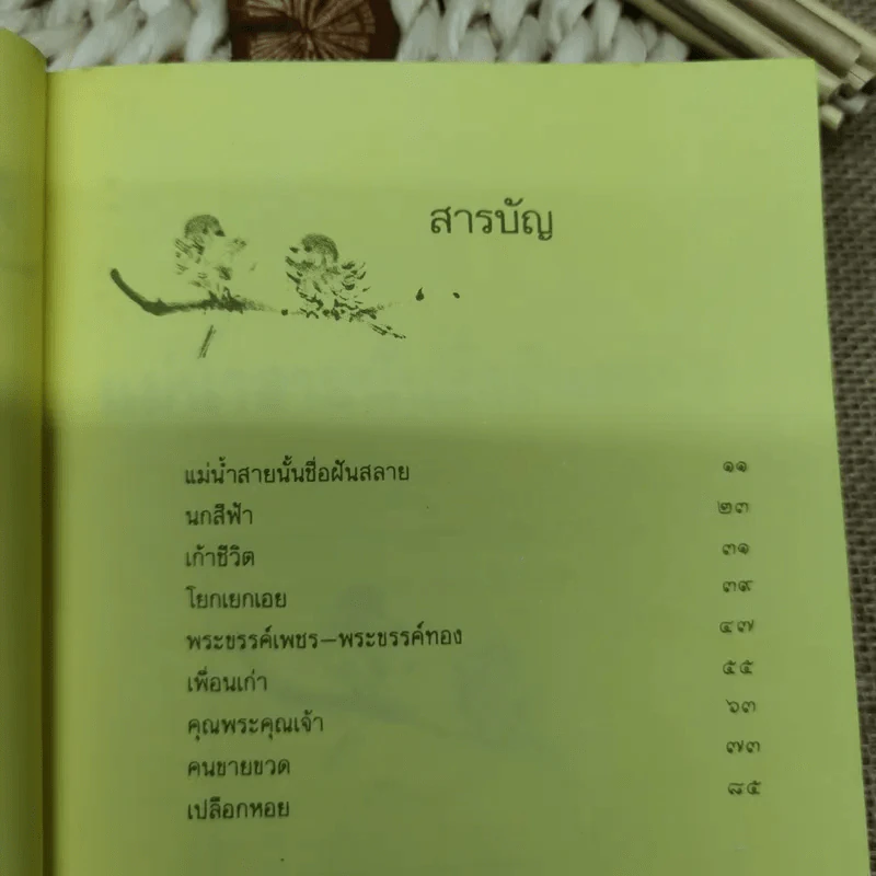แม่น้ำสายนั้นชื่อฝันสลาย - ประภัสสร เสวิกุล รูปที่ 10