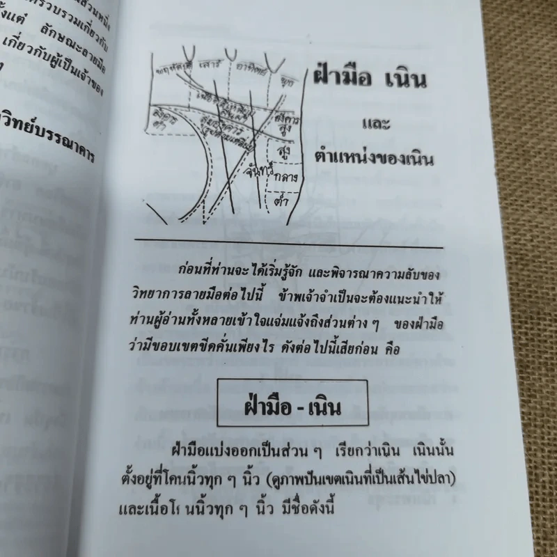 ตำราหลักเกณฑ์ดูลายมือ - ญาณ รูปที่ 6