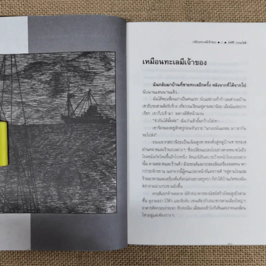 เหมือนทะเลมีเจ้าของ - อัศศิริ ธรรมโชติ รูปที่ 8