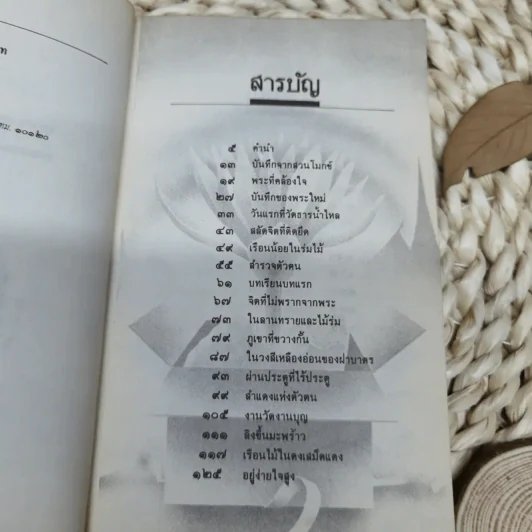 บันทึกธรรมจากสวนโมกข์ แผ่วผ่านธารน้ำไหล - เนาวรัตน์ พงษ์ไพบูลย์ รูปที่ 8