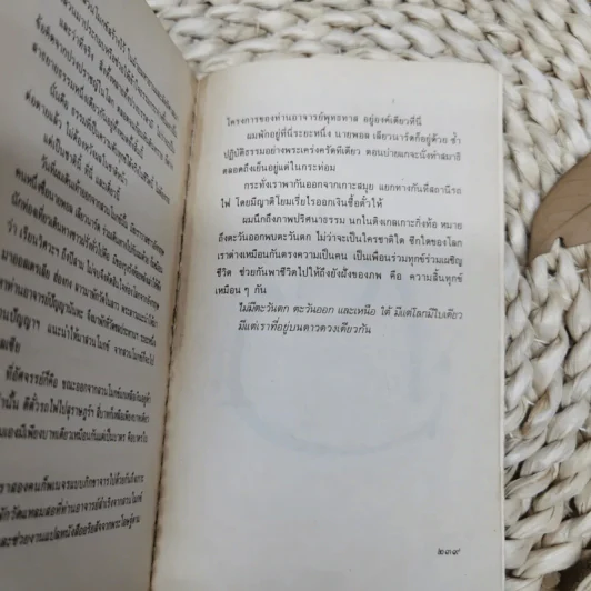 บันทึกธรรมจากสวนโมกข์ แผ่วผ่านธารน้ำไหล - เนาวรัตน์ พงษ์ไพบูลย์ รูปที่ 11
