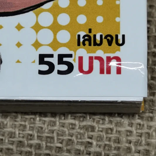 เจ้าหนูข้าวจี่ 2 เล่มจบ รูปที่ 9