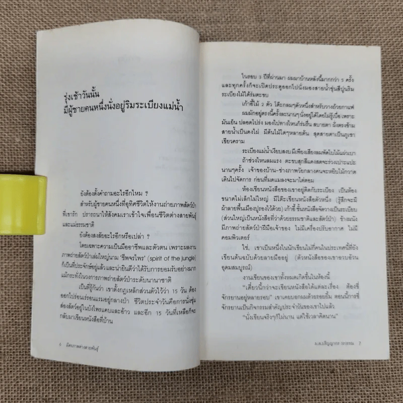 มิตรภาพต่างสายพันธุ์ - ม.ล.ปริญญากร วรวรรณ รูปที่ 6