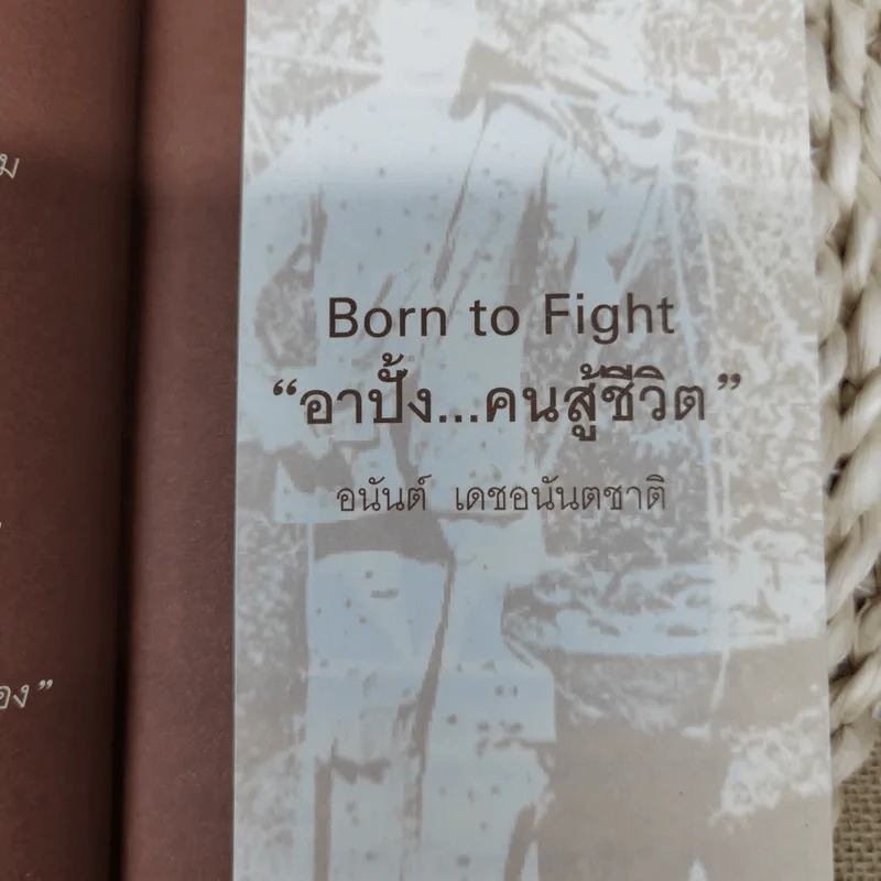 Born To Fight อาปั้ง คนสู้ชีวิต - อนันต์ เดชอนันตชาติ รูปที่ 4