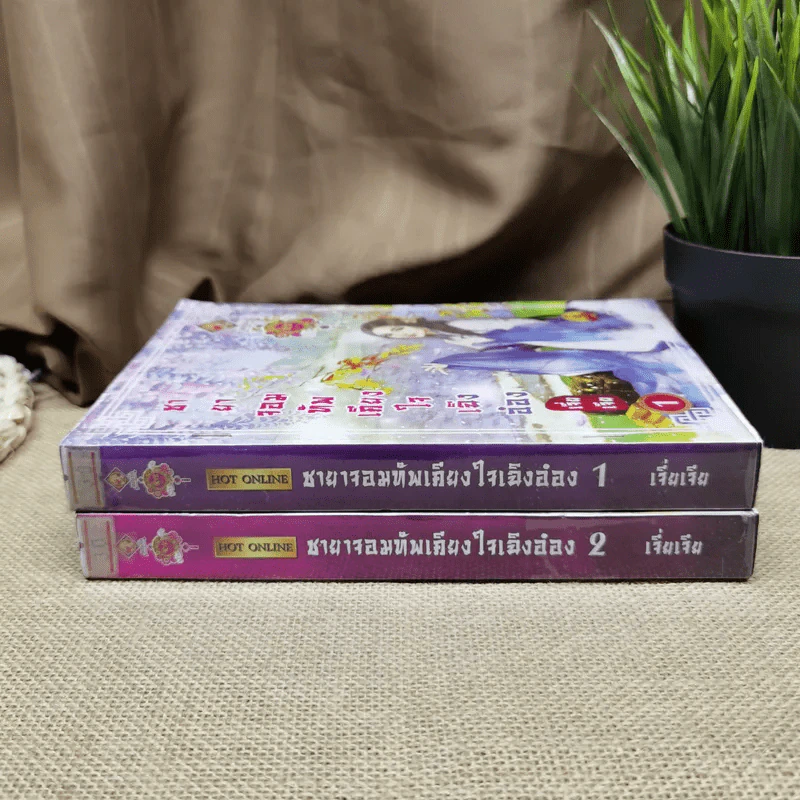 ชายาจอมทัพเคียงใจเฉิงอ๋อง เล่ม 1-2 - เจี่ยเจีย รูปที่ 2