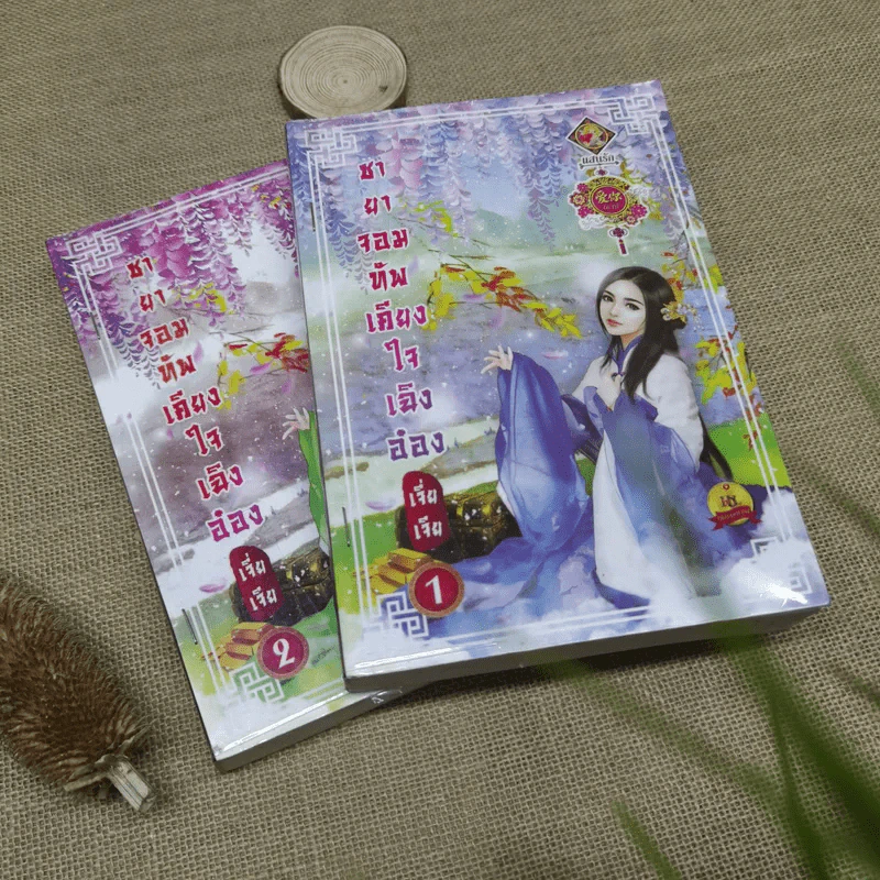 ชายาจอมทัพเคียงใจเฉิงอ๋อง เล่ม 1-2 - เจี่ยเจีย รูปที่ 1
