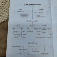 กฎหมายอาญาหลักและปัญหา - รศ.ดร.ทวีเกียรติ มีนะกนิษฐ รูปที่ 12