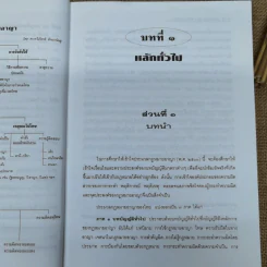 กฎหมายอาญาหลักและปัญหา - รศ.ดร.ทวีเกียรติ มีนะกนิษฐ รูปที่ 13