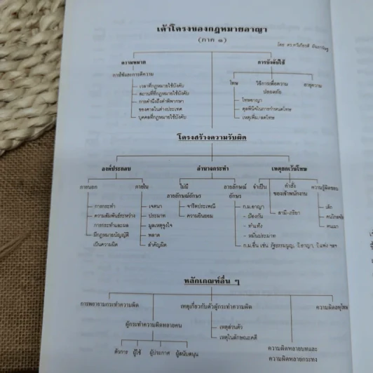 กฎหมายอาญาหลักและปัญหา - รศ.ดร.ทวีเกียรติ มีนะกนิษฐ รูปที่ 12