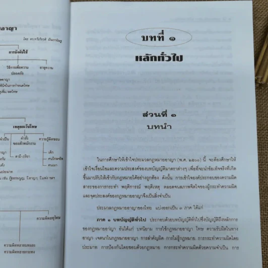 กฎหมายอาญาหลักและปัญหา - รศ.ดร.ทวีเกียรติ มีนะกนิษฐ รูปที่ 13