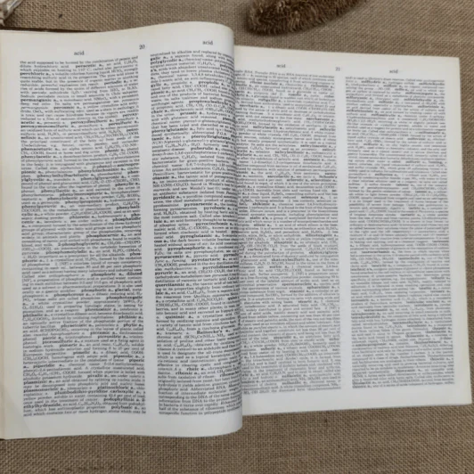 Dorland's Illustrated Medical Dictionary Twenty-Sixth Edition รูปที่ 14