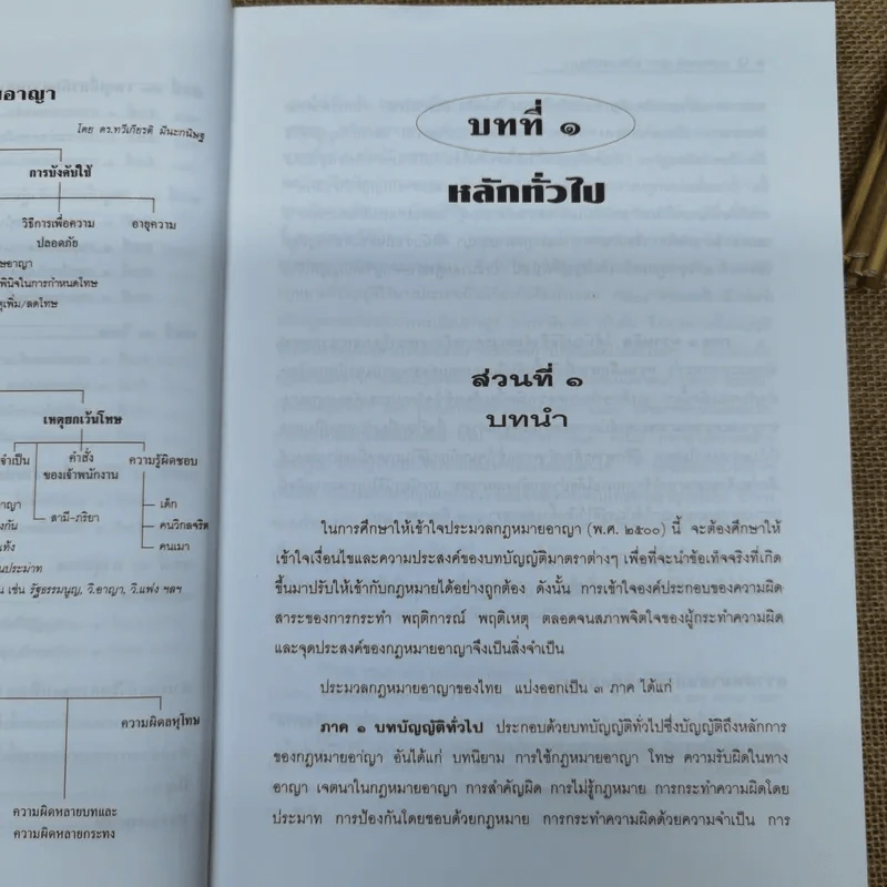 กฎหมายอาญาหลักและปัญหา - รศ.ดร.ทวีเกียรติ มีนะกนิษฐ รูปที่ 13
