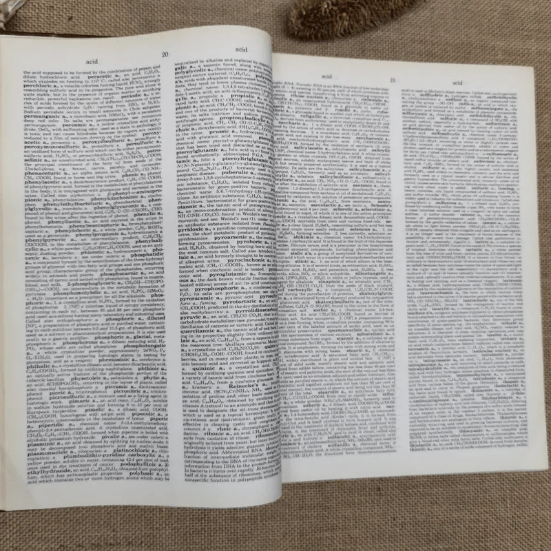 Dorland's Illustrated Medical Dictionary Twenty-Sixth Edition รูปที่ 14