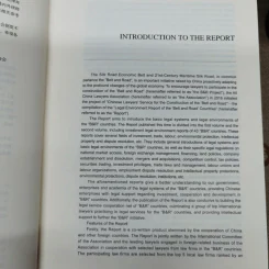 Legal Environment Report of The Belt And Road Countries Volume 1-2 รูปที่ 7