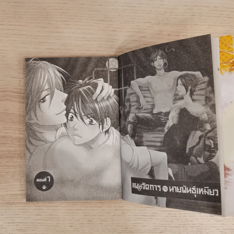 แผนจัดการกับนายพันธุ์เหมียว เล่ม 1 รูปที่ 10