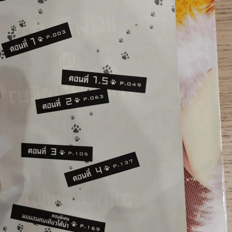 แผนจัดการกับนายพันธุ์เหมียว เล่ม 1 รูปที่ 9