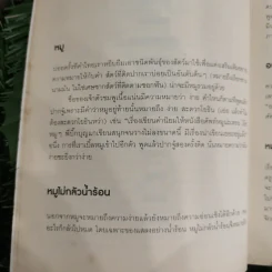 ศัพท์หมู - ภูมิชาย บุญสินสุข รูปที่ 11