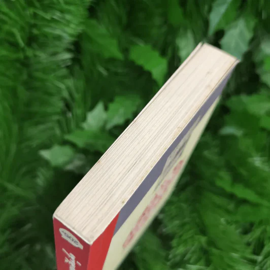 ศัพท์หมู - ภูมิชาย บุญสินสุข รูปที่ 5
