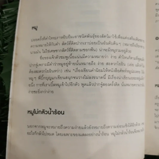 ศัพท์หมู - ภูมิชาย บุญสินสุข รูปที่ 11