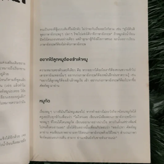 ศัพท์หมู - ภูมิชาย บุญสินสุข รูปที่ 12