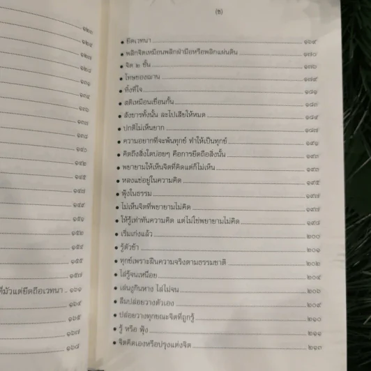 ปฏิบัติธรรม เล่ม 2 รู้ซื่อซื่อนิพพาน รูปที่ 13