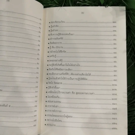 ปฏิบัติธรรม เล่ม 2 รู้ซื่อซื่อนิพพาน รูปที่ 11