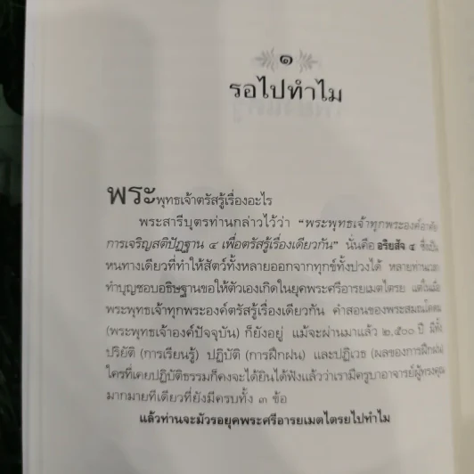 ดูจิตชั่วพริบตา - ปัญญาวโรภิกขุ (ประเสริฐ อุทัยเฉลิม) รูปที่ 10