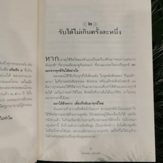 ดูจิตชั่วพริบตา - ปัญญาวโรภิกขุ (ประเสริฐ อุทัยเฉลิม) รูปที่ 13