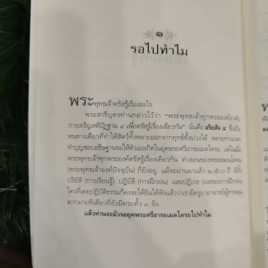 ดูจิตชั่วพริบตา - ปัญญาวโรภิกขุ (ประเสริฐ อุทัยเฉลิม) รูปที่ 12