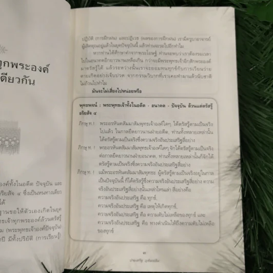นิพพานชั่วพริบตา - ประเสริฐ อุทัยเฉลิม รูปที่ 13