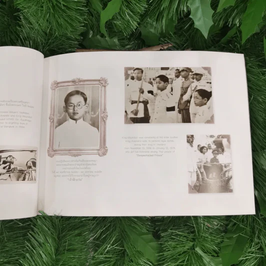 สมุดภาพสรรเสริญพระบารมี เอกบรมจักริน พระสยามินทร์ พระยศยิ่งยง รูปที่ 18