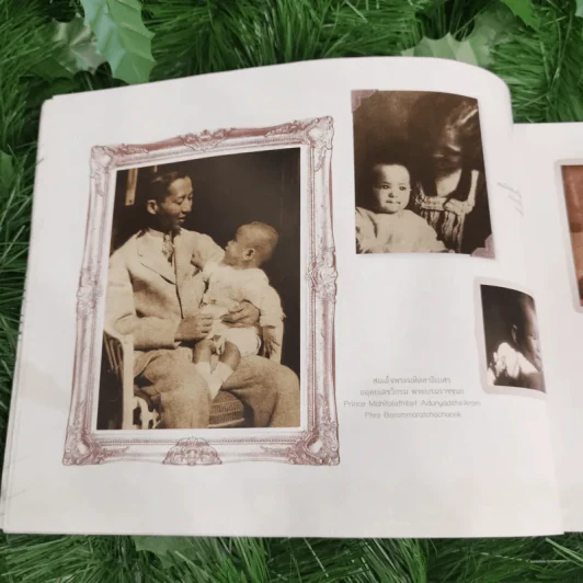 สมุดภาพสรรเสริญพระบารมี เอกบรมจักริน พระสยามินทร์ พระยศยิ่งยง รูปที่ 9