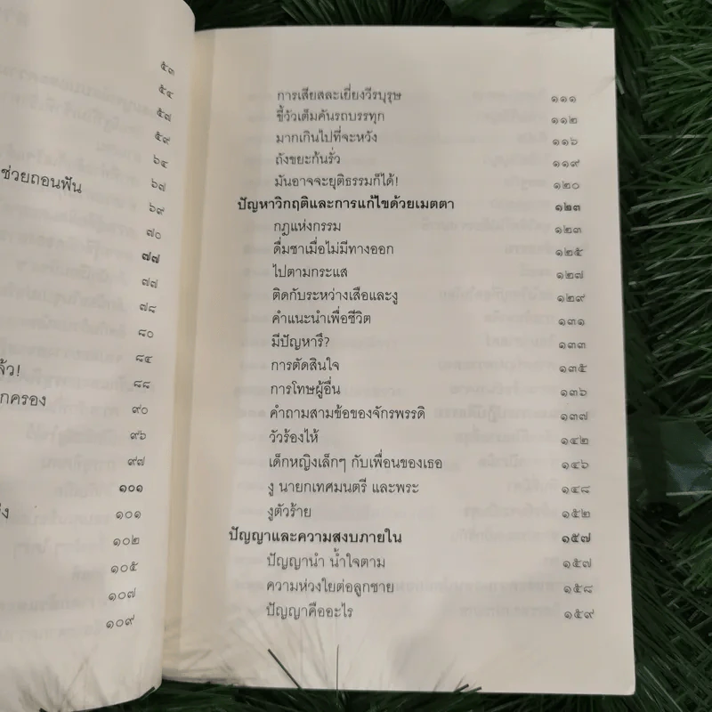 ชวนม่วนชื่น  ธรรมะบันเทิงหลายเรื่องเล่า - พระอาจารย์พรหม รูปที่ 13