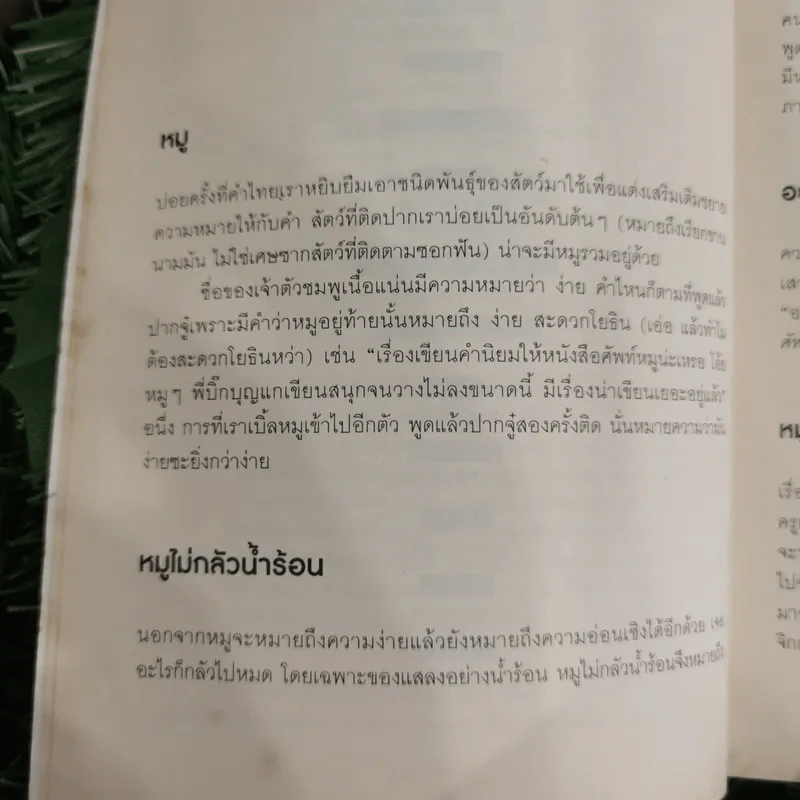 ศัพท์หมู - ภูมิชาย บุญสินสุข รูปที่ 11