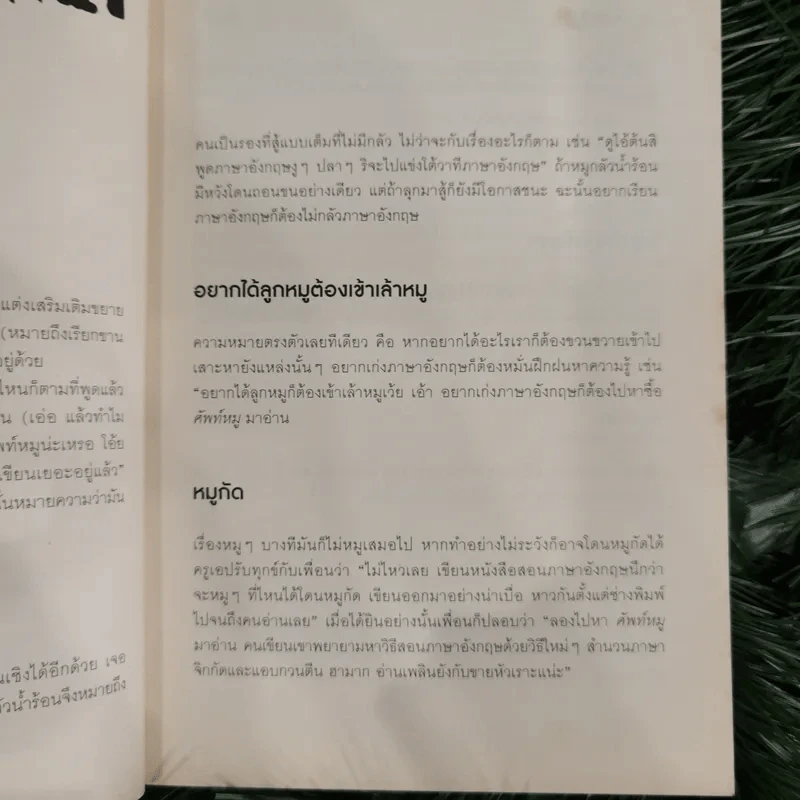 ศัพท์หมู - ภูมิชาย บุญสินสุข รูปที่ 12