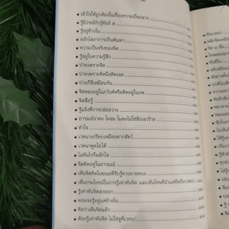 ปฏิบัติธรรม เล่ม 2 รู้ซื่อซื่อนิพพาน รูปที่ 12