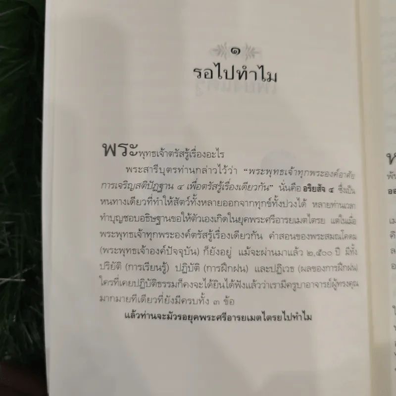 ดูจิตชั่วพริบตา - ปัญญาวโรภิกขุ (ประเสริฐ อุทัยเฉลิม) รูปที่ 12