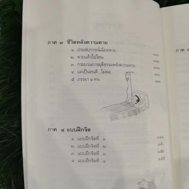 นิพพานชั่วพริบตา - ประเสริฐ อุทัยเฉลิม รูปที่ 11