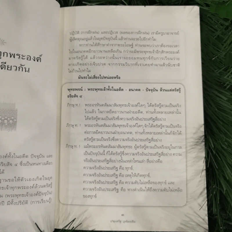 นิพพานชั่วพริบตา - ประเสริฐ อุทัยเฉลิม รูปที่ 13