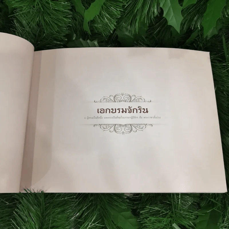 สมุดภาพสรรเสริญพระบารมี เอกบรมจักริน พระสยามินทร์ พระยศยิ่งยง รูปที่ 13