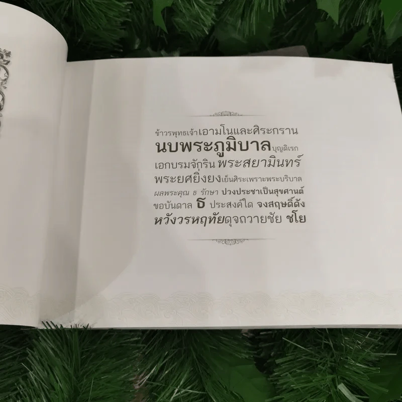 สมุดภาพสรรเสริญพระบารมี เอกบรมจักริน พระสยามินทร์ พระยศยิ่งยง รูปที่ 8